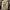 Streetwear Hoody Pria green gray photo 1