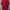Sportswear Casual T-shirt Pria red photo 6