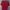 Sportswear Casual T-shirt Pria Red