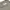 Abercrombie & Fitch Vintage Y2K Short Pria khaki tan photo 7