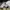 Adidas Streetwear Sportswear Hoody Pria white black photo 6