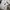 Fluke Skateboard Streetwear Sportswear Hoody Pria cream photo 6