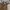 Fluke Skateboard Streetwear Sportswear Hoody Pria cream photo 5