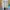 RVCA Streetwear Sportswear Windbreaker Pria white photo 1
