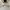 RVCA Streetwear Sportswear Windbreaker Pria white photo 3