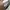 Tory Burch Luxury Casual Crossbody Bag Wanita cream photo 6