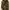 Adidas Streetwear Sportswear Hoody Pria multicolor photo 1