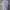 Casual Casual shirt Pria gray photo 4