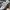 Salomon Gorpcore Casual Sneakers Pria white black photo 7