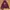 Element Streetwear Sportswear Hoody Pria burgundy photo 2