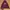 Element Streetwear Sportswear Hoody Pria Burgundy