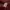 Element Streetwear Sportswear Hoody Pria burgundy photo 6