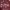 Element Streetwear Sportswear Hoody Pria Burgundy