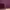 Element Streetwear Sportswear Hoody Pria burgundy photo 4