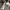 Adidas Streetwear Sportswear Track jacket Wanita gray photo 2