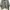Adidas Streetwear Sportswear Track jacket Wanita gray photo 4