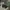 Stan Ray Vintage Y2K Short Pria green brown photo 3