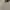 Lafudge Streetwear Gorpcore Windbreaker Pria cream tan photo 7