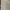 Lafudge Streetwear Gorpcore Windbreaker Pria cream tan photo 4