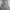 Nike Y2K Sportswear Tracksuit Pria gray photo 5