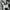 Nike Y2K Sportswear Tracksuit Pria gray photo 8