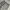 Nike Y2K Sportswear Tracksuit Pria gray photo 7