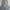 Nike Y2K Sportswear Tracksuit Pria gray photo 3