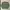 Izod XFG Vintage Y2K Varsity Jacket Pria Green
