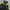 Gorpcore Track jacket Pria green black photo 3