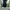 Vintage Y2K Jeans Pria black photo 7
