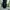 Vintage Y2K Jeans Pria black photo 8