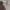 United Arrows Streetwear Y2K Hoody Pria gray photo 1