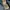Global Work Streetwear Sportswear Hoody Pria blue photo 6