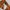 Vintage Streetwear Pria orange photo 4