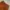 Vintage Streetwear Pria orange photo 3