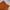 Vintage Streetwear Pria orange photo 2