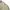 Avant Garde Sportswear Puffer jacket Pria cream photo 7