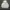 Quiksilver Vintage Sportswear Hoody Pria white photo 5