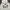 Quiksilver Vintage Sportswear Hoody Pria white photo 4