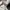 Quiksilver Vintage Sportswear Hoody Pria white photo 8
