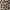 H&M Y2K Avant Garde Mini skirt Wanita tan brown black photo 3