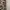 H&M Y2K Avant Garde Mini skirt Wanita tan brown black photo 2