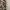 H&M Y2K Avant Garde Mini Skirt Wanita Tan Brown Black