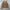 Casual Bomber jacket Wanita tan photo 1