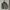 GAP Vintage Y2K Leather jacket Pria green photo 1