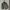 GAP Vintage Y2K Leather Jacket Pria Green
