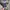 GAP Vintage Y2K Leather jacket Pria green photo 2