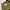 Uniform Bridge Vintage Casual Track jacket Pria green photo 5