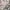 Carhartt Streetwear Casual Casual pants Pria tan photo 2