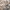 BESLOW Vintage Casual Casual Pants Pria Tan